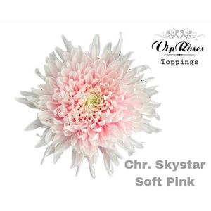 CHR E GEFAERBT Skystar Soft Pink