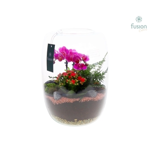 Green Bottle Isabella XLarge FC22.0908