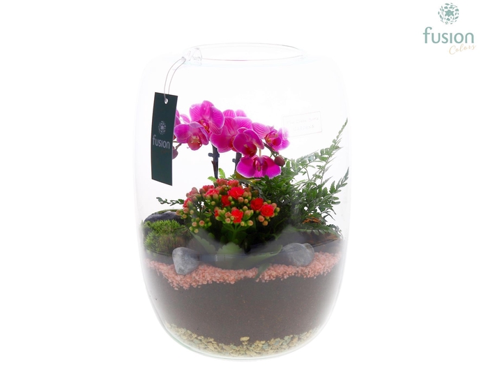 <h4>Green Bottle Isabella XLarge FC22.0908</h4>