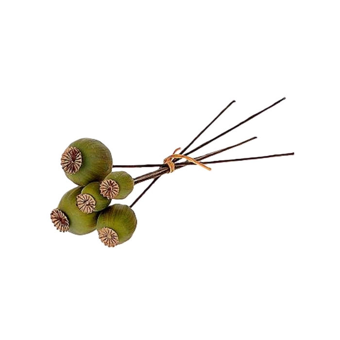<h4>Bunch Poppy 6 Pcs L25</h4>