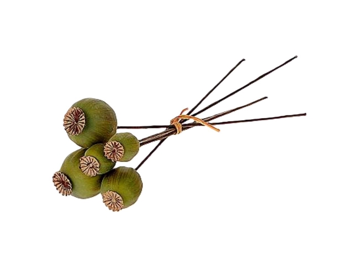 Bunch Poppy 6 Pcs L25