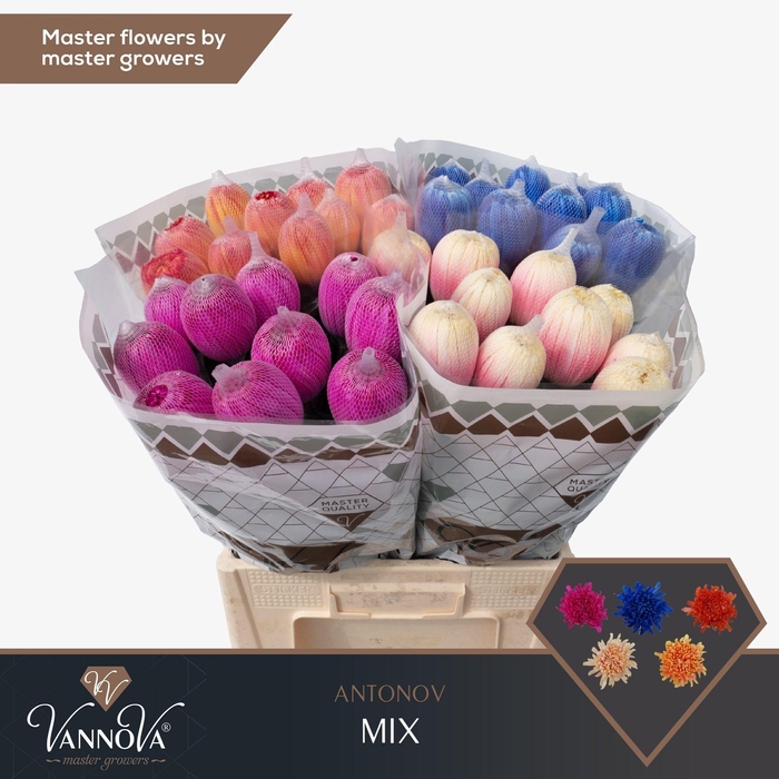 <h4>Chr G Antonov Mix FC577</h4>