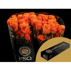 R GR Tycoon Box