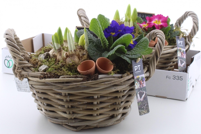 <h4>ARR PL IN SCHAAL</h4>