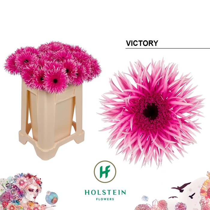 <h4>GE GS GERSP VICTORY</h4>