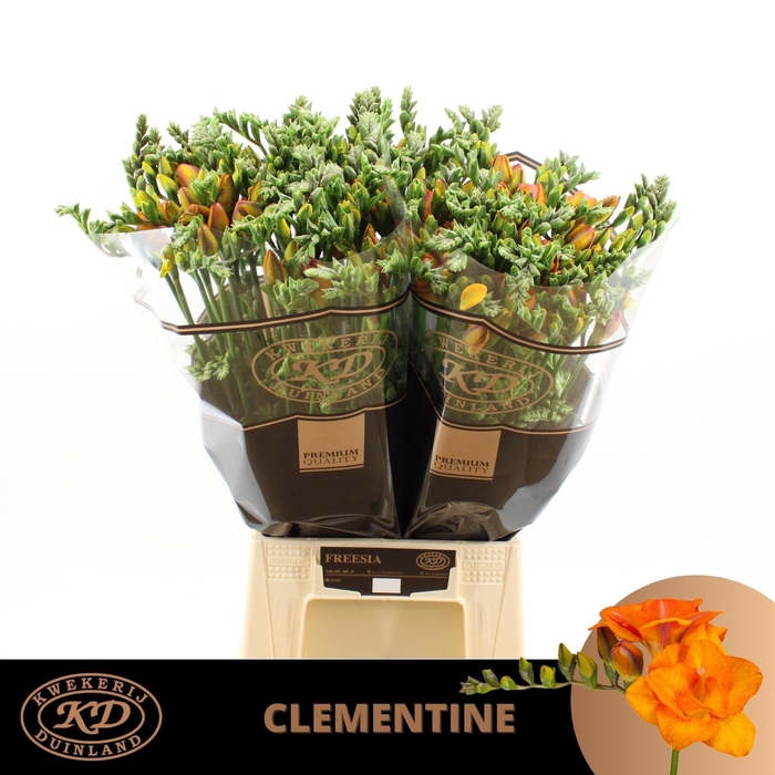 <h4>Fr Du Clementine Orange</h4>