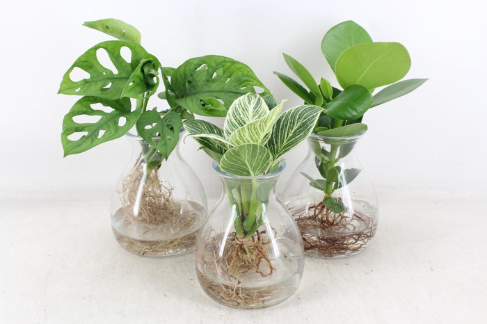 <h4>arr3 VDE - Kingston glas x3</h4>