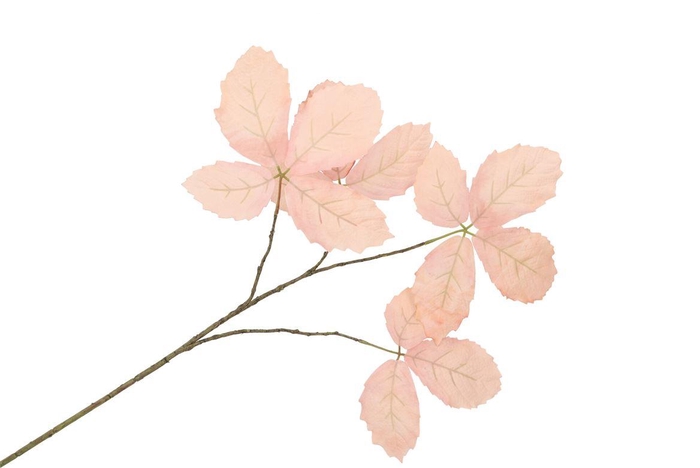 <h4>Silk Leaf Chestnut Champagne 79cm Nm</h4>