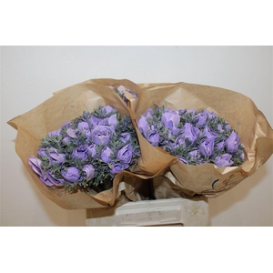 Anem Marianne Powder Lavender