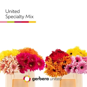 Ge Gr Specialty Mix