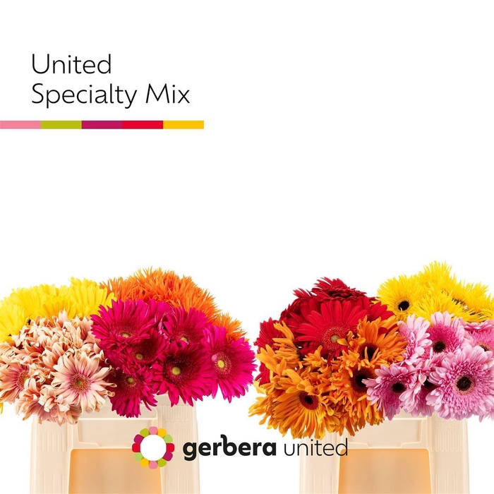 <h4>Ge Gr Specialty Mix</h4>