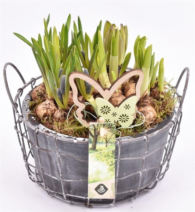 Gaasmand met cement schaal gy 21cm