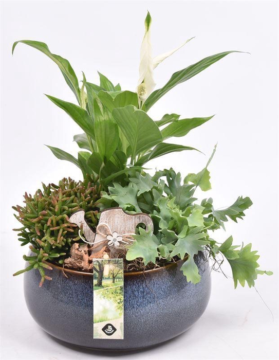 <h4>Keramiek schaal blauw 19.5cm</h4>