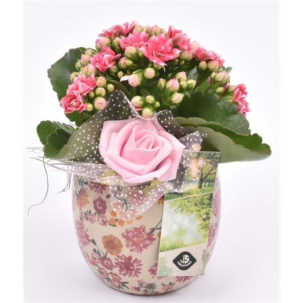 <h4>Keramiek decor pot 9CM</h4>