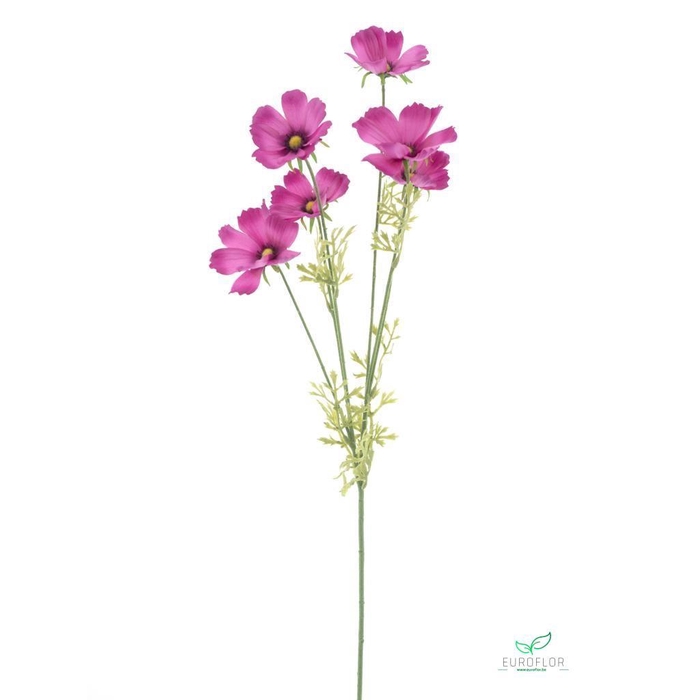 <h4>SILK FLOWERS - COSMOS SPRAY AEROSOL OLD PINK 79CM</h4>