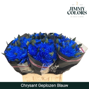 Chr G Topspin Klbh. Blauw