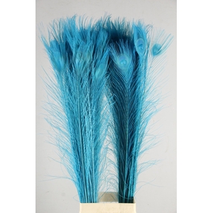 Feather Peacock Blue 110cm