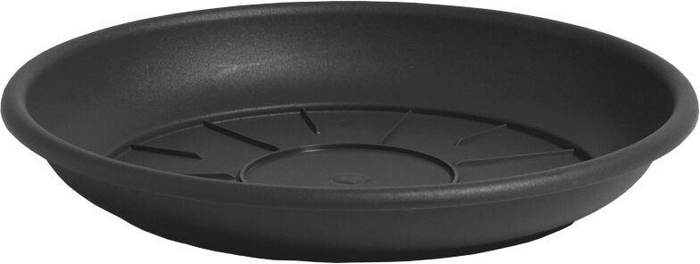 <h4>Waterschotel 10cm zwart-antraciet 1</h4>