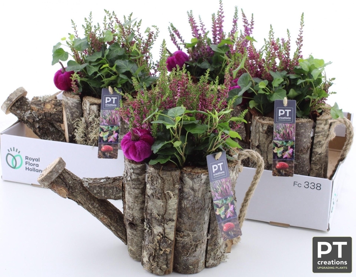 <h4>ARR TUINPLANTEN</h4>