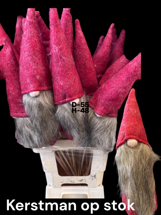 <h4>HUIS EN TUINDECO H%</h4>