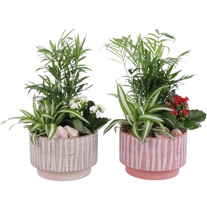 Yearround Arr. Indoor Ceramic Natural Touch NT667 Ø17cm 3PP