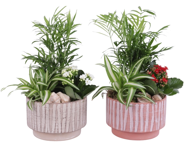 <h4>Yearround Arr. Indoor Ceramic Natural Touch NT667 Ø17cm 3PP</h4>