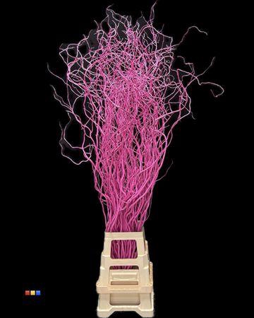 <h4>Salix 130cm Cerise</h4>