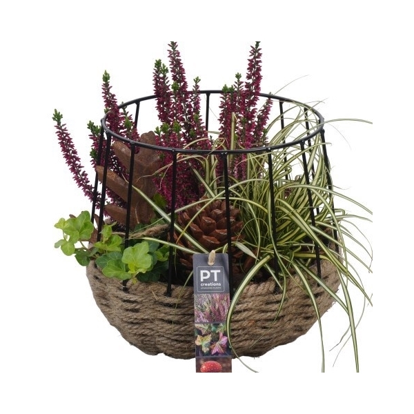 <h4>PTHO4148 Arrangement Herfst Outdoor in touw mand met metaal</h4>