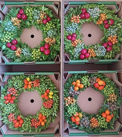 <h4>Wr Sierfruit 40cm (anttar)</h4>