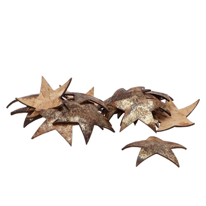 <h4>Nature Coconut Bowl Star Gold P/20 10cm</h4>
