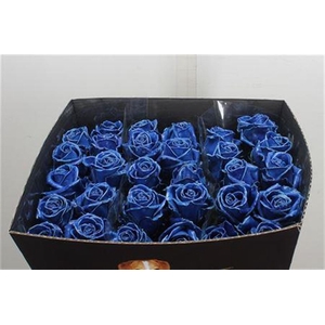 Wax-Rozen Wax Blauw w5