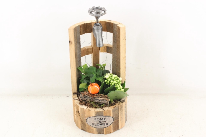 <h4>arr2 TD - Hout waterput - wit</h4>