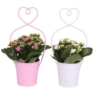 Mothersday Arr. Indoor Zinc Framepot with Heart Ø15cm 1PP