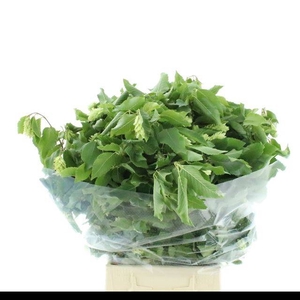 DECOGROEN OV BS