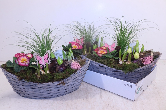 <h4>ARR PL IN SCHAAL</h4>