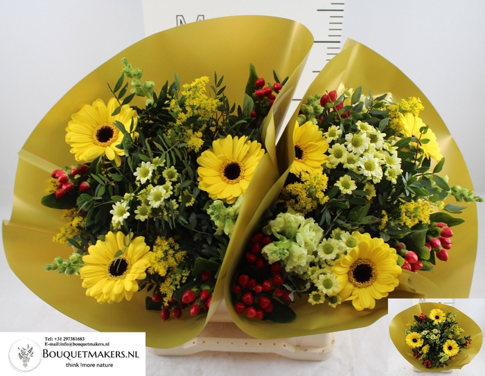 <h4>GEM BOEKET OV</h4>