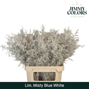 Lim Misty Blue L90 White