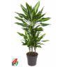 <h4>45-carrousel 4 stek/pot</h4>