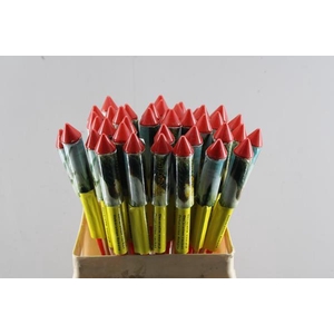 Bijstekers Vuurpijl H%