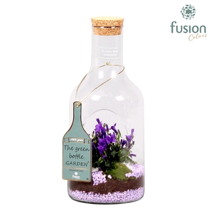 Green Bottle fles met campanula 24uur levertijd