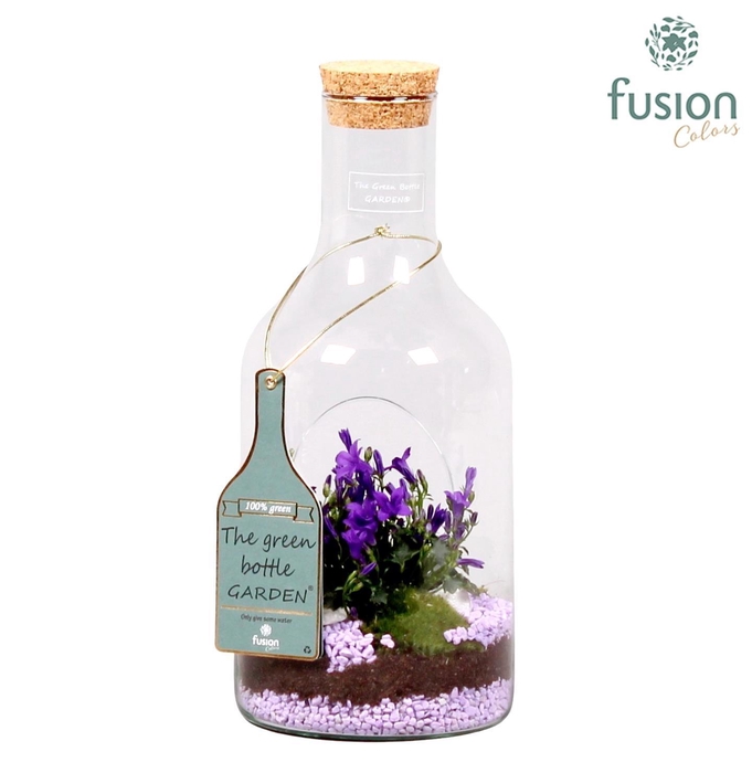 <h4>Green Bottle fles met campanula 24uur levertijd</h4>