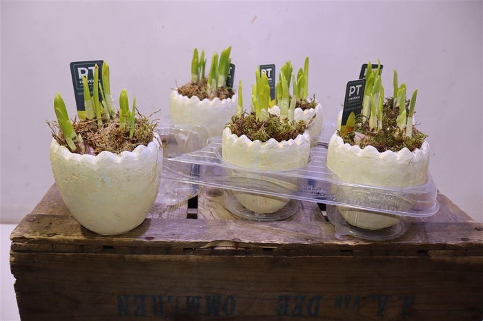 <h4>arr8 Arr N Tete A Tete In 1/2 Ei Keramiek</h4>