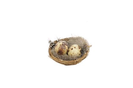 <h4>Deco Egg Nest 2quail Feather 6pc D7</h4>