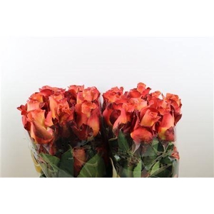 R Gr Coffee Break Ll