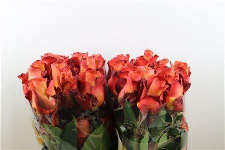 <h4>R Gr Coffee Break Ll</h4>