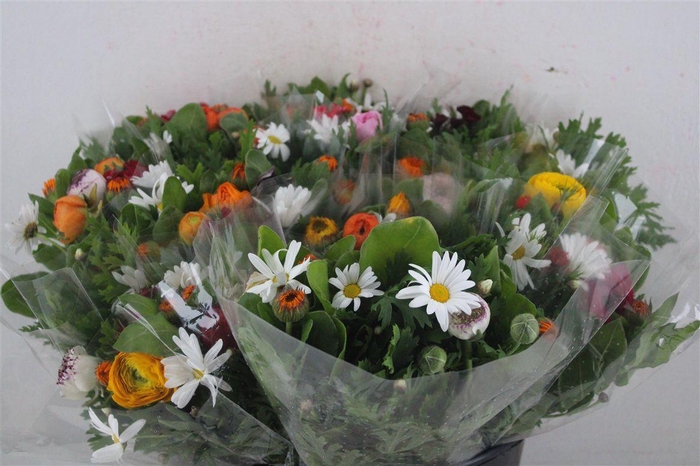 <h4>Boeket Primavera P Bunch</h4>