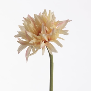 AF Gerbera Spider L55cm Peach