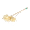 Bunch Bleached Thistle
