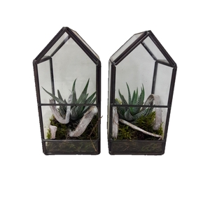 GHK8 Glass House Mini Terrarium
