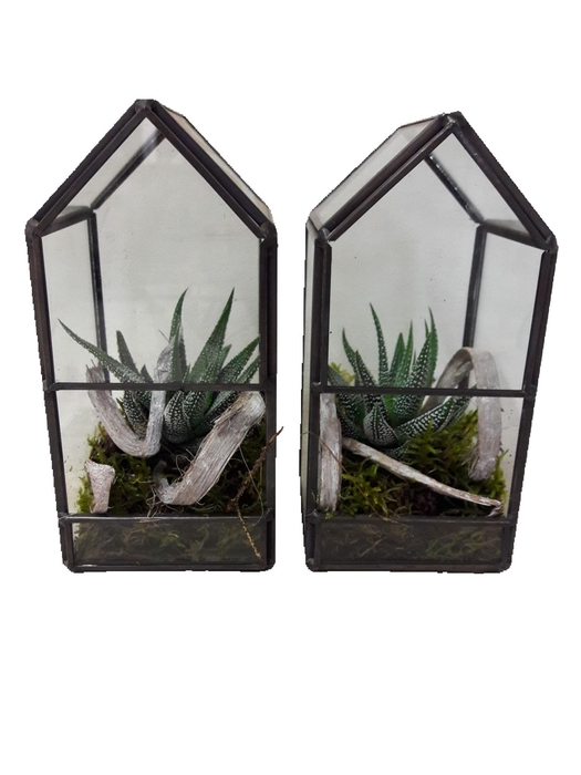 <h4>GHK8 Glass House Mini Terrarium</h4>
